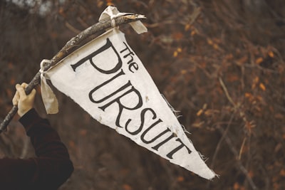 pursuit — погоня