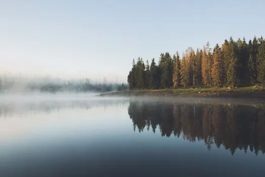 mir — покой