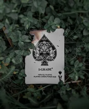 Spades — Пики