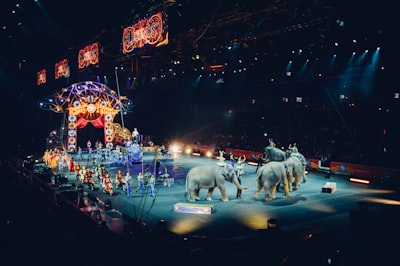 Circus — цирк