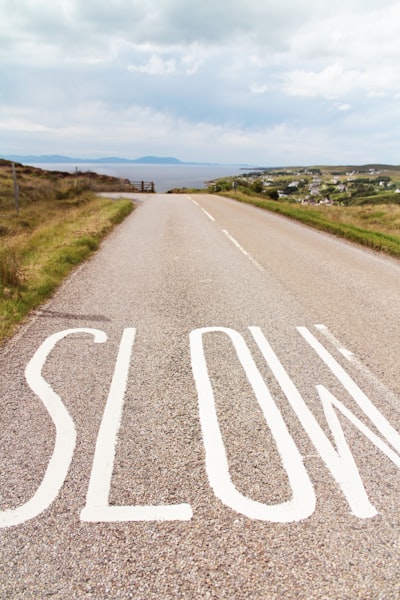 slowness — медлительность