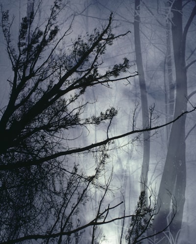 foreboding — дурное предчувствие