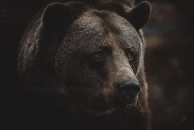 bears the burden — несёт бремя