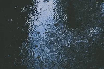 acid rain — кислотный дождь