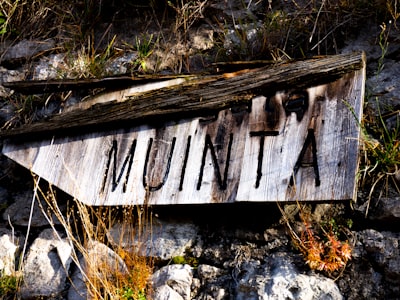murmur — шептать