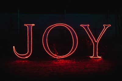 Exultation of joy — ликование радости