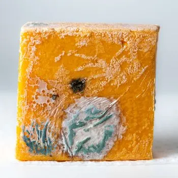 Preservatives — Консерванты