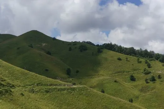 brow of a hill — вершина холма