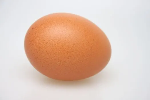 Ei — яйцо