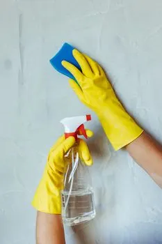 Cleansed — Очищенный