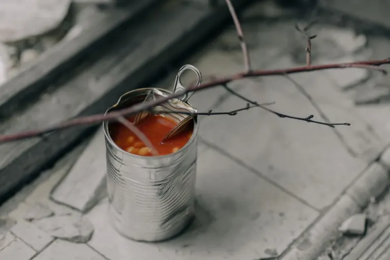 canned bean dish — консервированная фасоль
