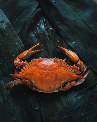 crabe — краб