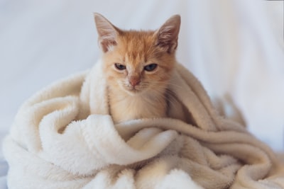 Cranky — раздражительный