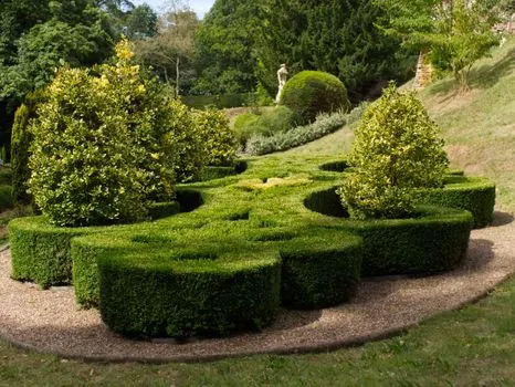 Shrubbery — Кустарники