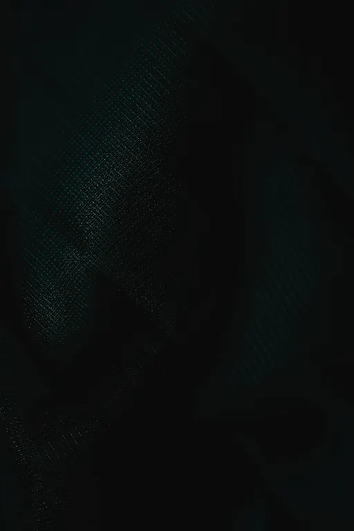 Schwarz — чёрный