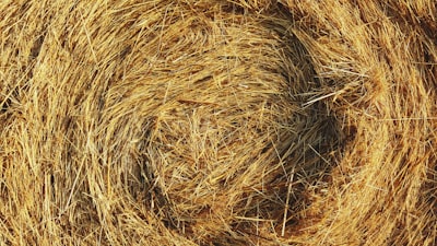 bale — тюк