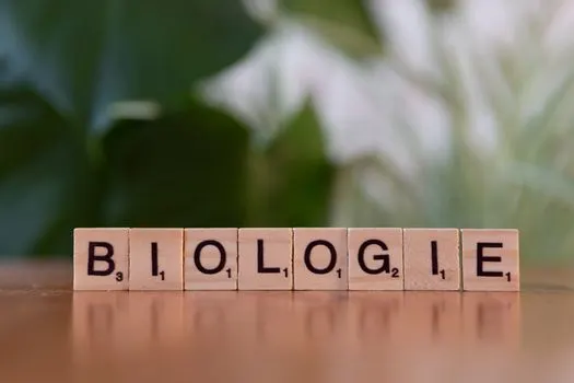 Linguistics — язык
