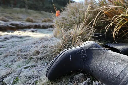 Felt boot — Валенок
