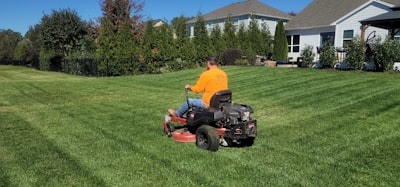 mow — косить