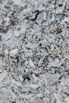 Ash — пепел