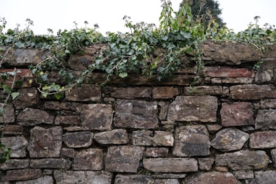 Tack to the wall — приколоть к стене