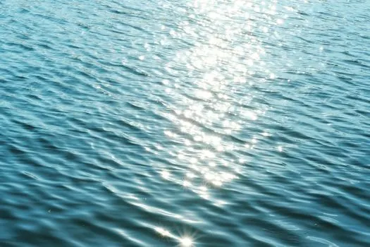 glistening smoothness — блестящая гладкость