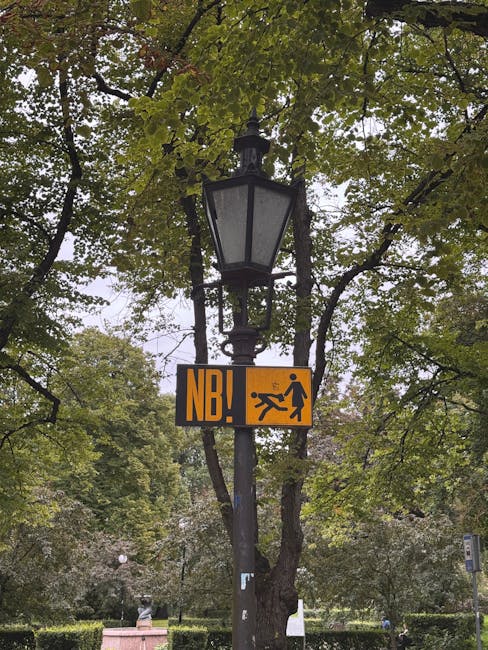 kieszonkowiec — карманник