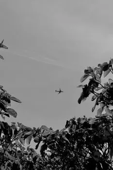 Fly out — Вылетать