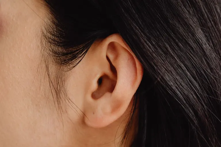 Oreja — Ухо
