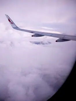 Flug — рейс
