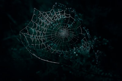 cobwebs — паутина