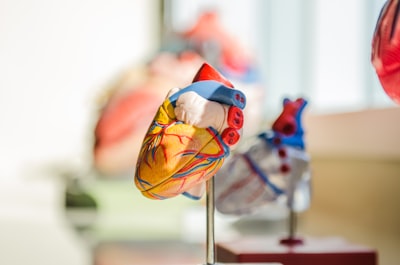 Pacemaker syndrome — синдром кардиостимулятора