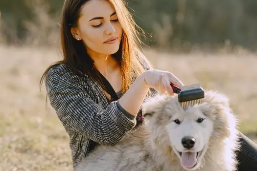 brush — щётка