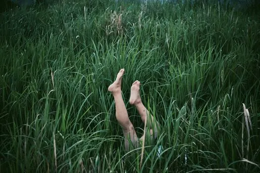 Inanely — Бессмысленно