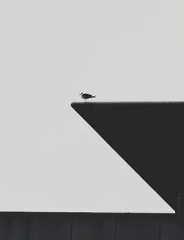Perched — Присев