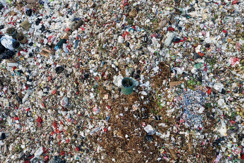 déchets — отходы