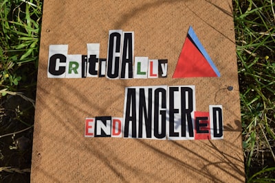 criticized — критиковать