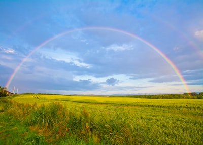 Rainbow — радуга