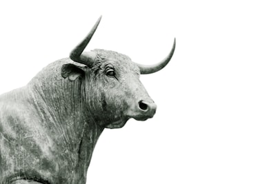 Bullish — оптимистичный