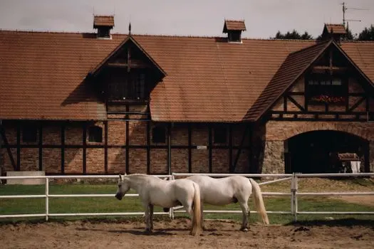 Stables — Конюшни