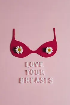 Bra — Бюстгальтер