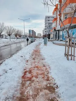 glatt — скользкий