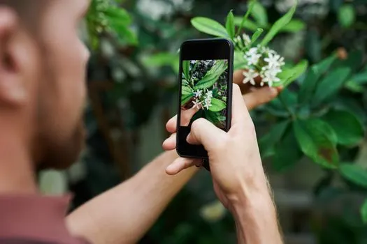 Flower support — Опора для цветов