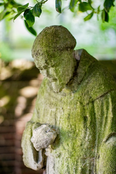 francis — Фрэнсис