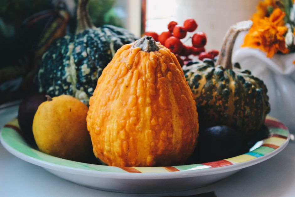 gourd — тыква-горлянка