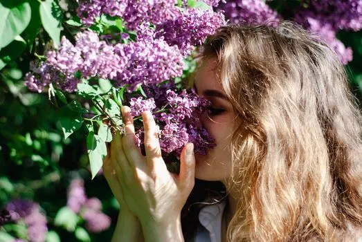 Olfactory — Обонятельный