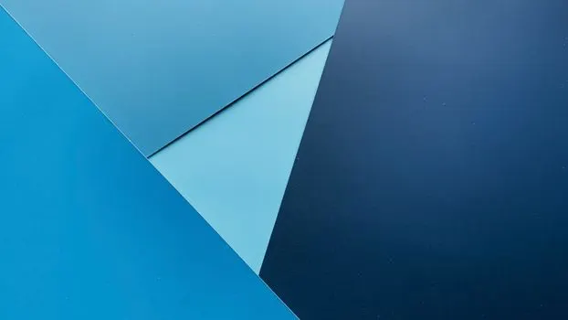 congruent — согласующийся