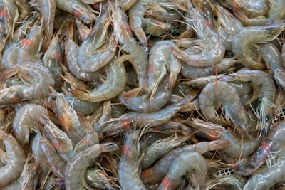Prawns — креветки