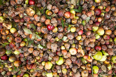 food waste — пищевые отходы