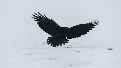 ravenous — голодный как волк